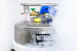 Bombola di nitrogeno
